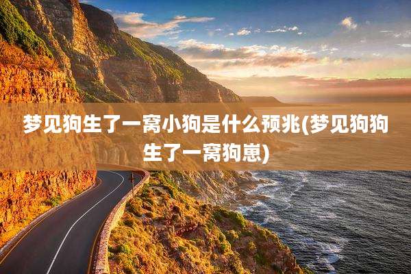 梦见狗生了一窝小狗是什么预兆(梦见狗狗生了一窝狗崽)