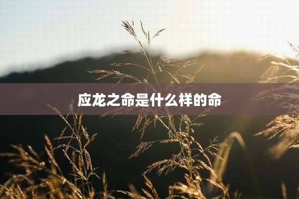 应龙之命是什么样的命