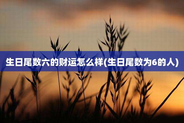 生日尾数六的财运怎么样(生日尾数为6的人)