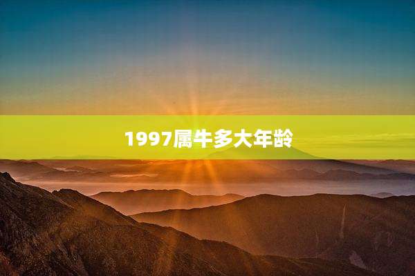 1997属牛多大年龄