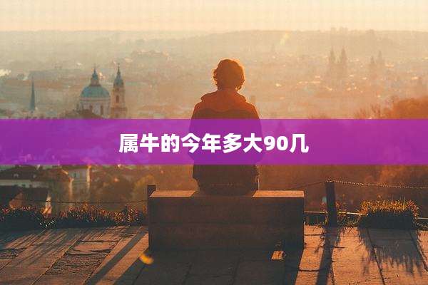 属牛的今年多大90几