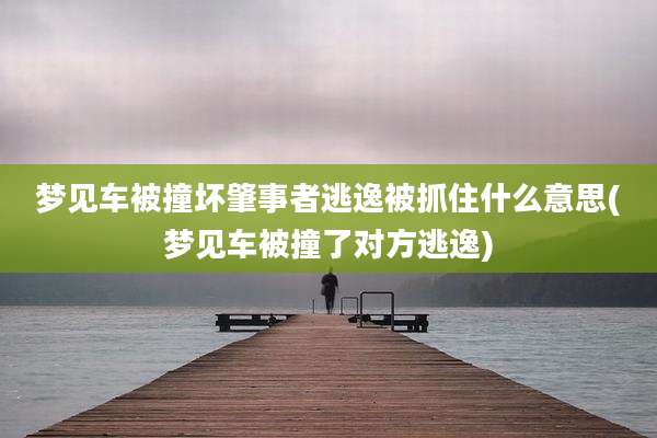 梦见车被撞坏肇事者逃逸被抓住什么意思(梦见车被撞了对方逃逸)