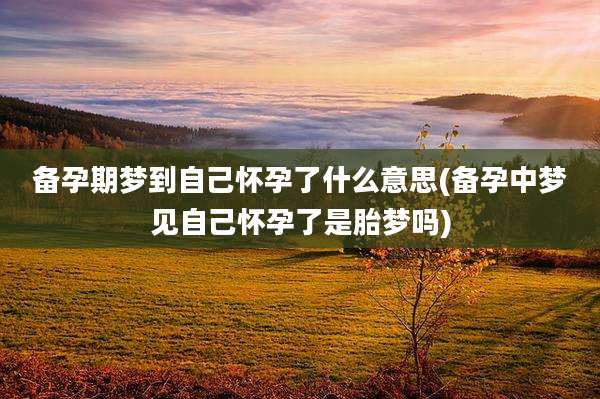 备孕期梦到自己怀孕了什么意思(备孕中梦见自己怀孕了是胎梦吗)