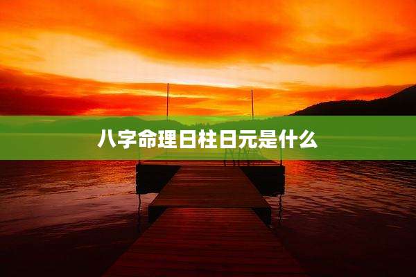 八字命理日柱日元是什么