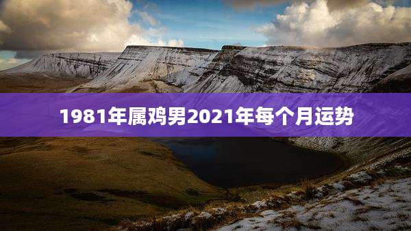 1981年属鸡男2021年每个月运势