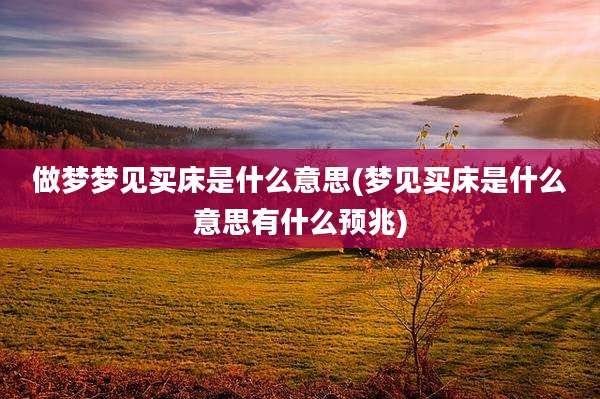 做梦梦见买床是什么意思(梦见买床是什么意思有什么预兆)