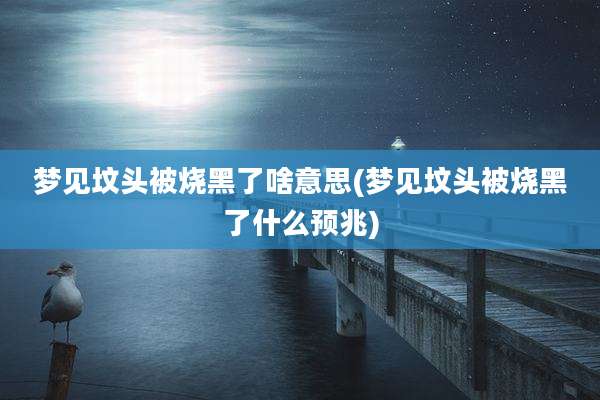 梦见坟头被烧黑了啥意思(梦见坟头被烧黑了什么预兆)