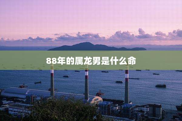 88年的属龙男是什么命
