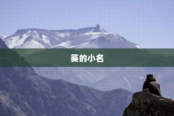 葵的小名