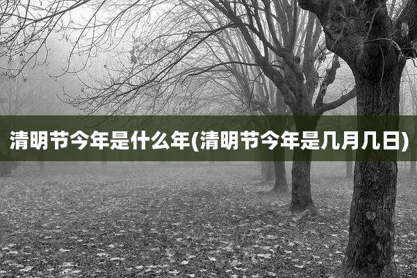 清明节今年是什么年(清明节今年是几月几日)