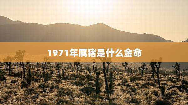 1971年属猪是什么金命