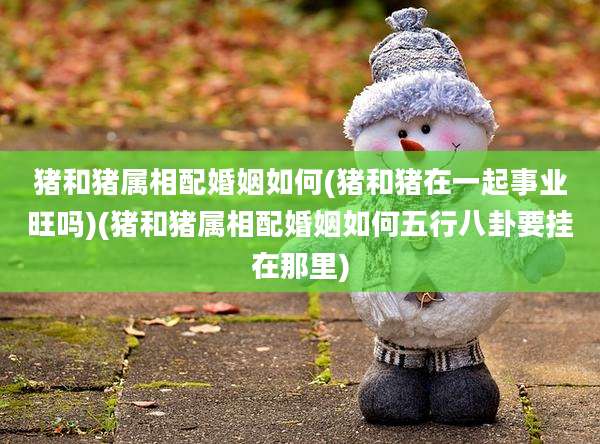 猪和猪属相配婚姻如何(猪和猪在一起事业旺吗)(猪和猪属相配婚姻如何五行八卦要挂在那里)