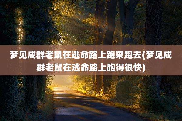 梦见成群老鼠在逃命路上跑来跑去(梦见成群老鼠在逃命路上跑得很快)