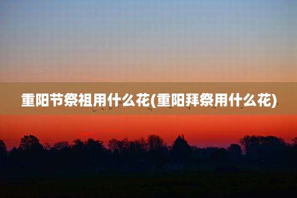 重阳节祭祖用什么花(重阳拜祭用什么花)
