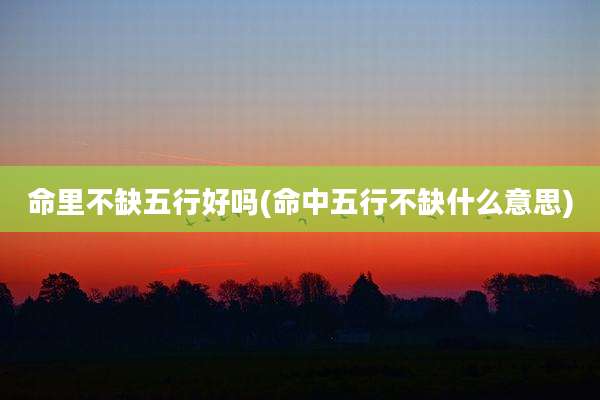 命里不缺五行好吗(命中五行不缺什么意思)