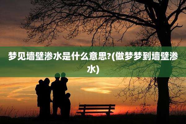 梦见墙壁渗水是什么意思?(做梦梦到墙壁渗水)