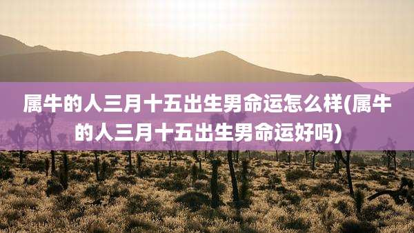 属牛的人三月十五出生男命运怎么样(属牛的人三月十五出生男命运好吗)