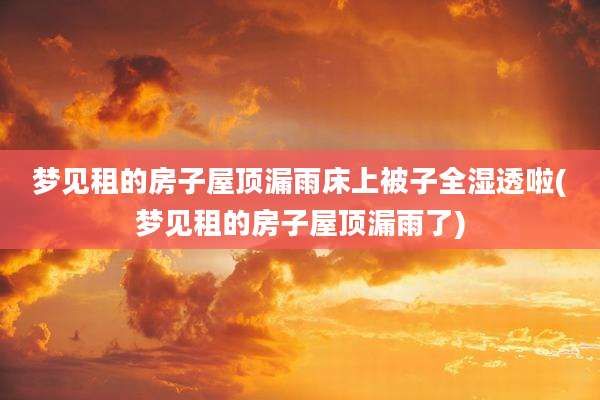 梦见租的房子屋顶漏雨床上被子全湿透啦(梦见租的房子屋顶漏雨了)