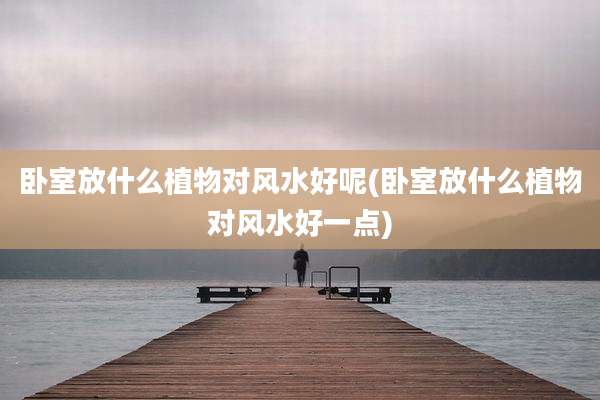 卧室放什么植物对风水好呢(卧室放什么植物对风水好一点)