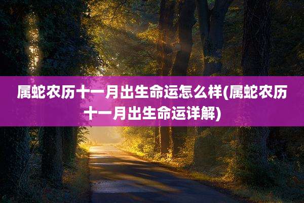 属蛇农历十一月出生命运怎么样(属蛇农历十一月出生命运详解)