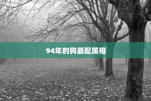 94年的狗最配属相