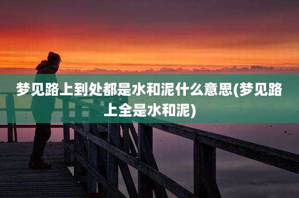 梦见路上到处都是水和泥什么意思(梦见路上全是水和泥)