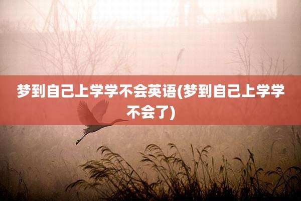 梦到自己上学学不会英语(梦到自己上学学不会了)
