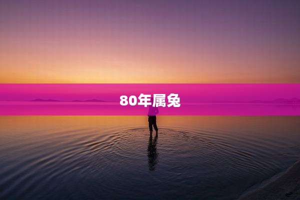 80年属兔