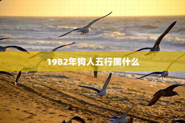 1982年狗人五行属什么