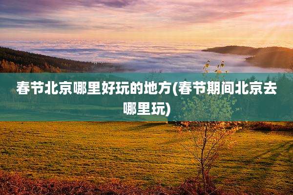 春节北京哪里好玩的地方(春节期间北京去哪里玩)