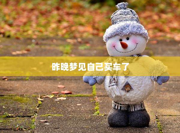 昨晚梦见自己买车了