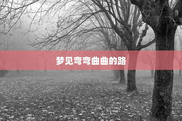 梦见弯弯曲曲的路