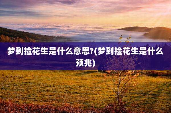 梦到捡花生是什么意思?(梦到捡花生是什么预兆)
