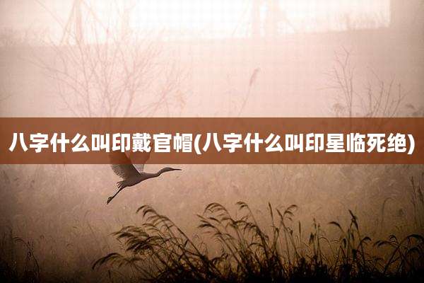 八字什么叫印戴官帽(八字什么叫印星临死绝)