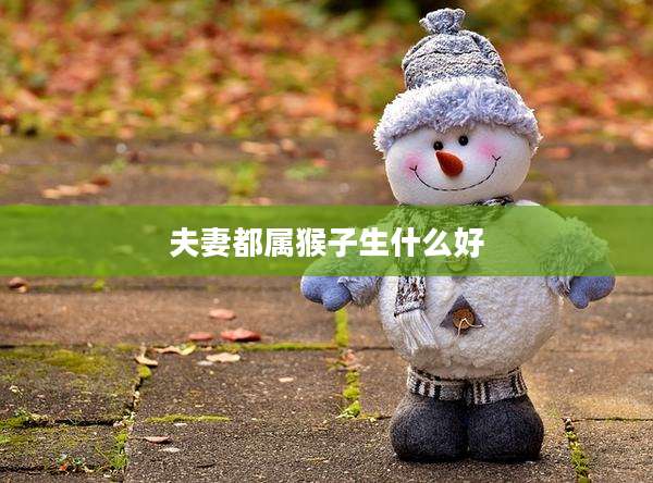 夫妻都属猴子生什么好