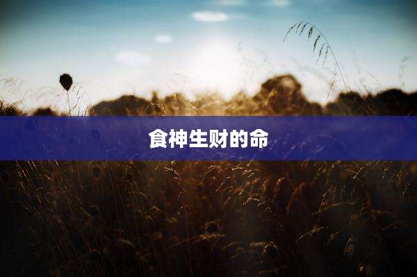 食神生财的命