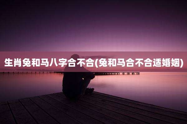 生肖兔和马八字合不合(兔和马合不合适婚姻)