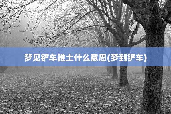 梦见铲车推土什么意思(梦到铲车)