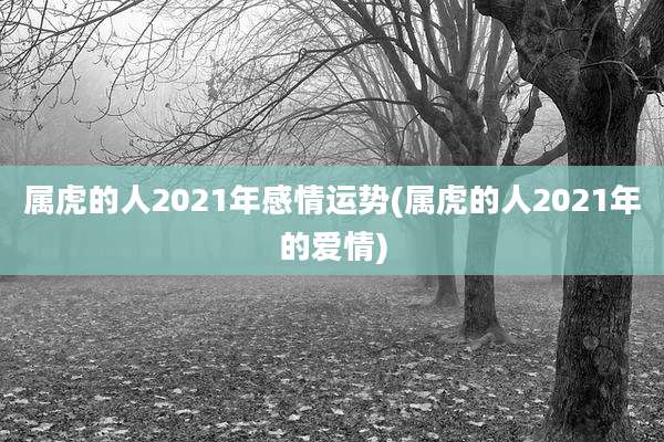 属虎的人2021年感情运势(属虎的人2021年的爱情)