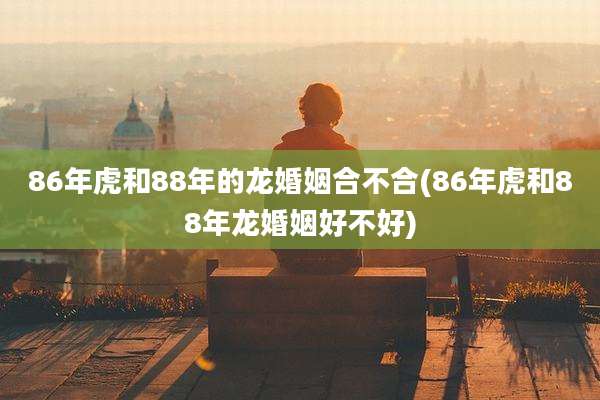 86年虎和88年的龙婚姻合不合(86年虎和88年龙婚姻好不好)