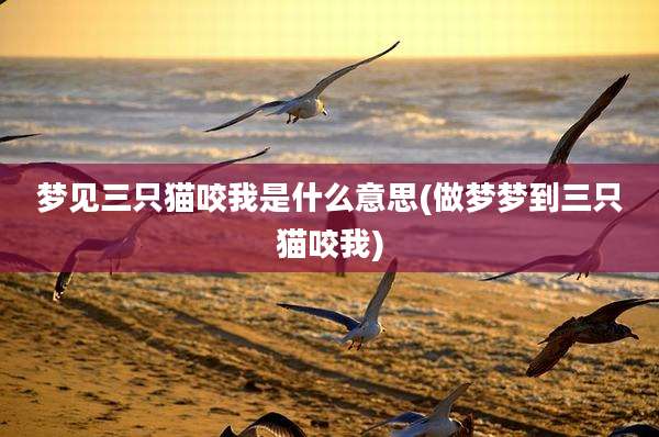 梦见三只猫咬我是什么意思(做梦梦到三只猫咬我)