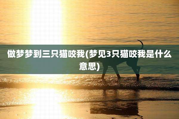 做梦梦到三只猫咬我(梦见3只猫咬我是什么意思)