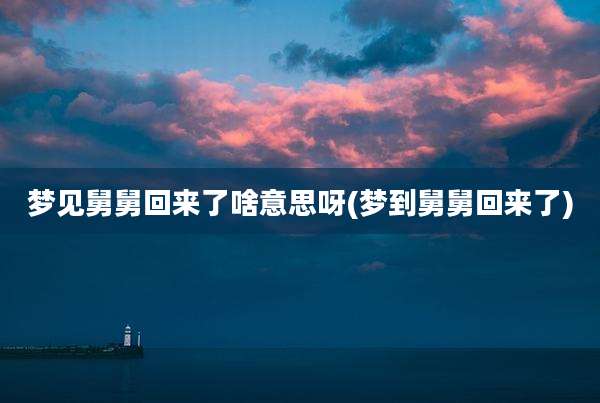梦见舅舅回来了啥意思呀(梦到舅舅回来了)