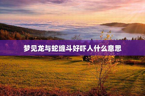 梦见龙与蛇缠斗好吓人什么意思