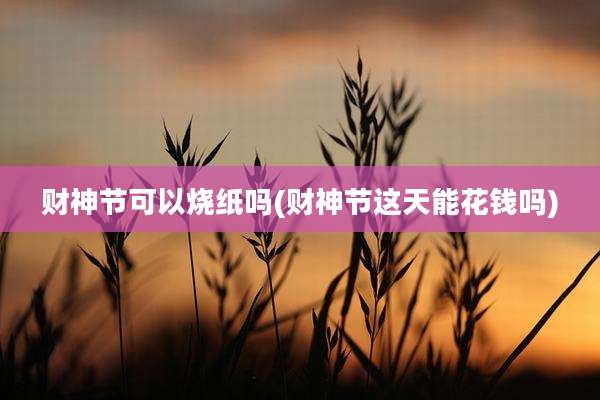 财神节可以烧纸吗(财神节这天能花钱吗)
