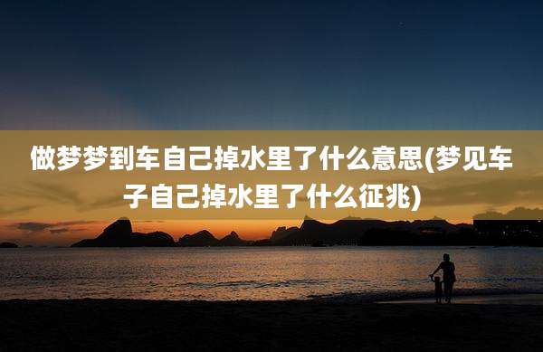 做梦梦到车自己掉水里了什么意思(梦见车子自己掉水里了什么征兆)