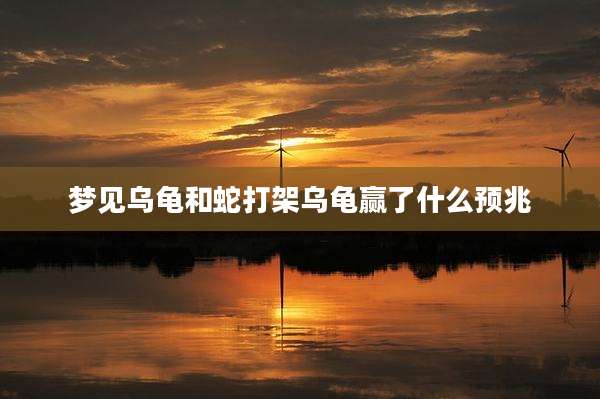 梦见乌龟和蛇打架乌龟赢了什么预兆