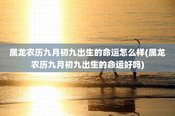 属龙农历九月初九出生的命运怎么样(属龙农历九月初九出生的命运好吗)