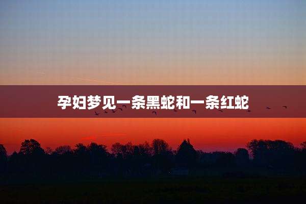 孕妇梦见一条黑蛇和一条红蛇