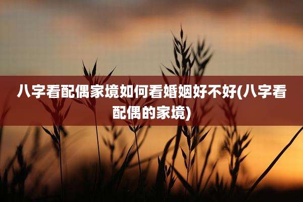 八字看配偶家境如何看婚姻好不好(八字看配偶的家境)